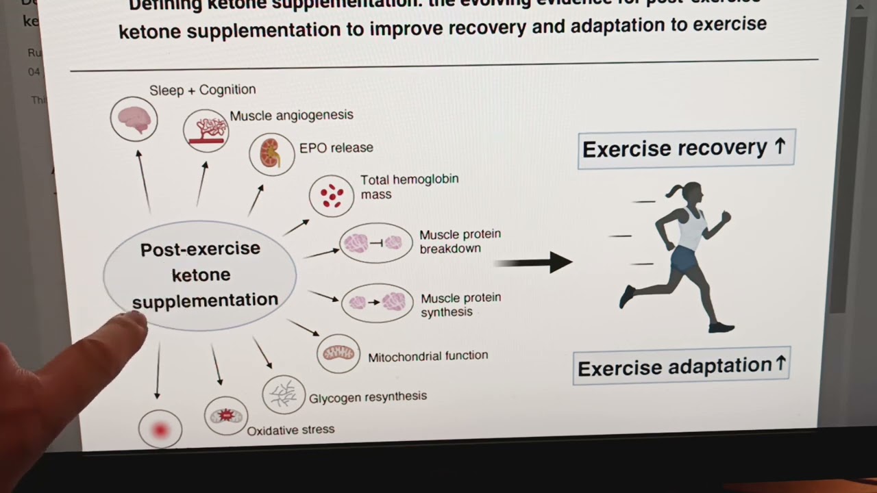 Effets d'une supplémentation en corps cétoniques en post-workout?