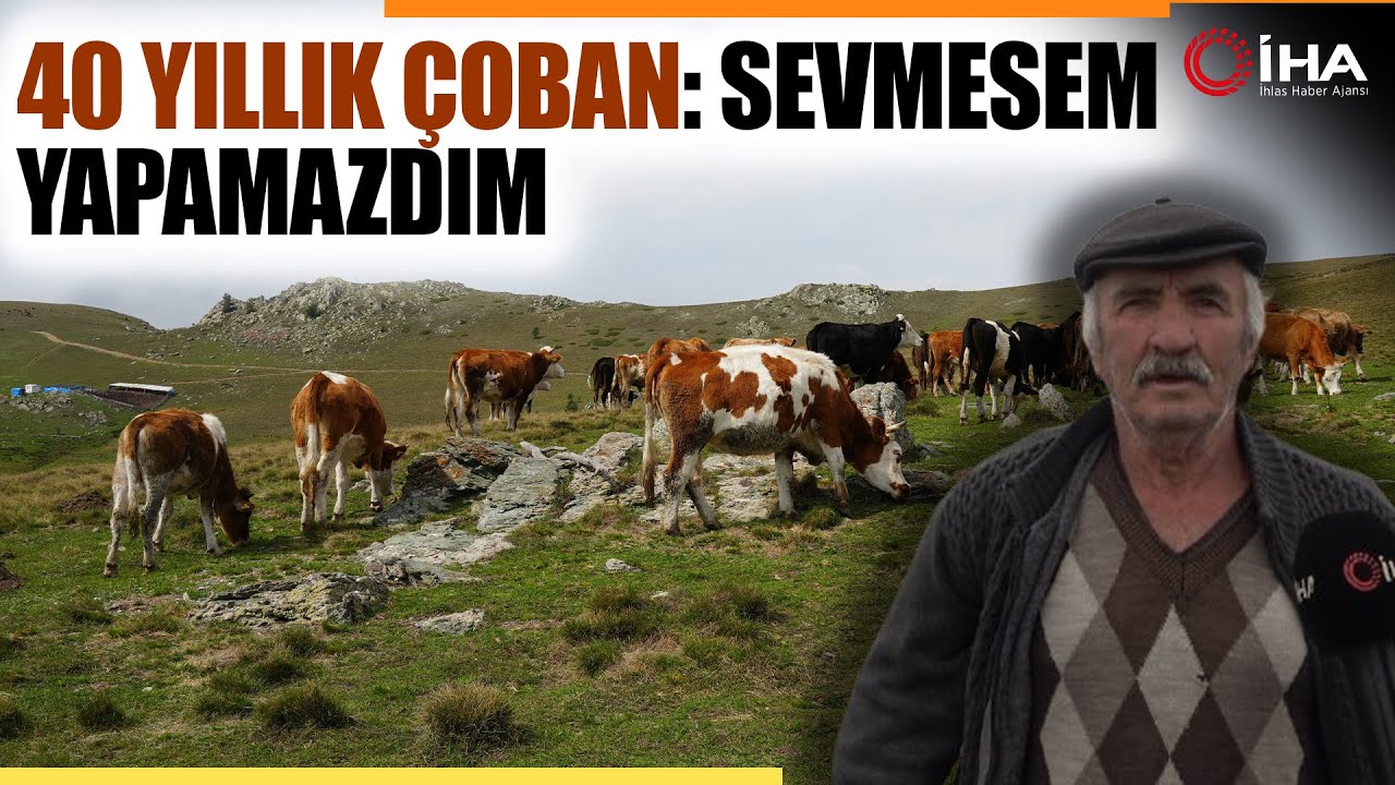 Herkesin Gezmek İstediği Yaylalar Onların Geçim Kaynağı