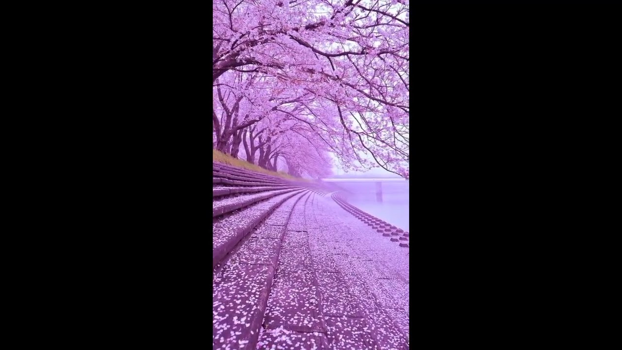Relaxing Nature Video | Peaceful Life Moments & Soothing Natural Sounds Relaxing Life #nature 
