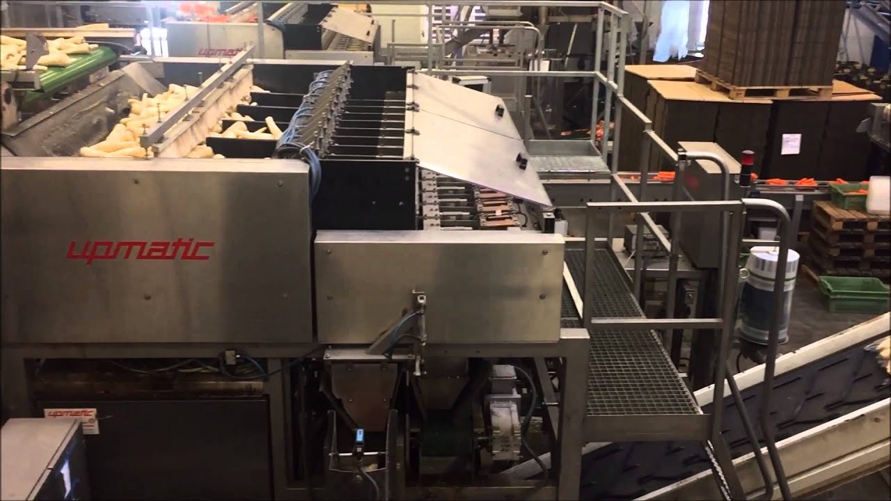 Upmatic 2112 KDE + Upmatic 2000 + Verbruggen VPM8 palletizer - 10 Kg Parsnip bags