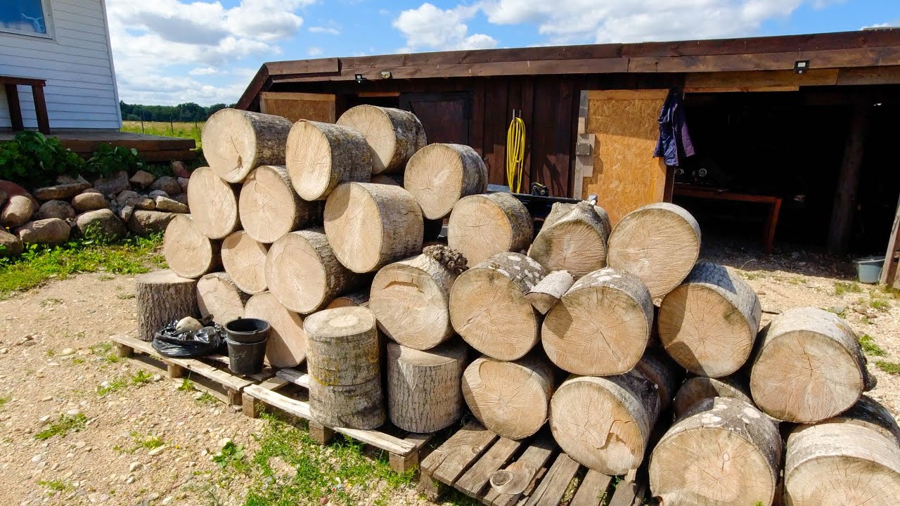 Firewood preparation 2023