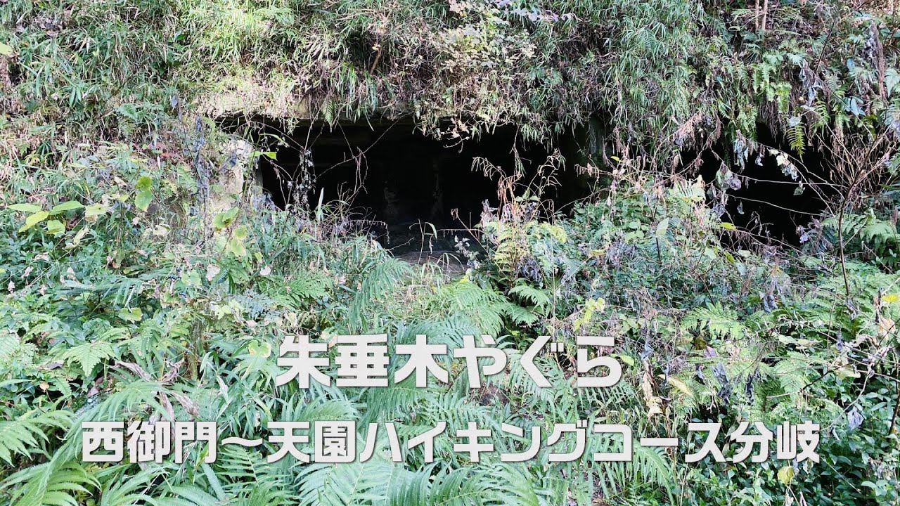 【鎌倉】朱垂木やぐら（西御門～朱垂木やぐら～天園ハイキングコース分岐）｜ディープ鎌倉 kamakura