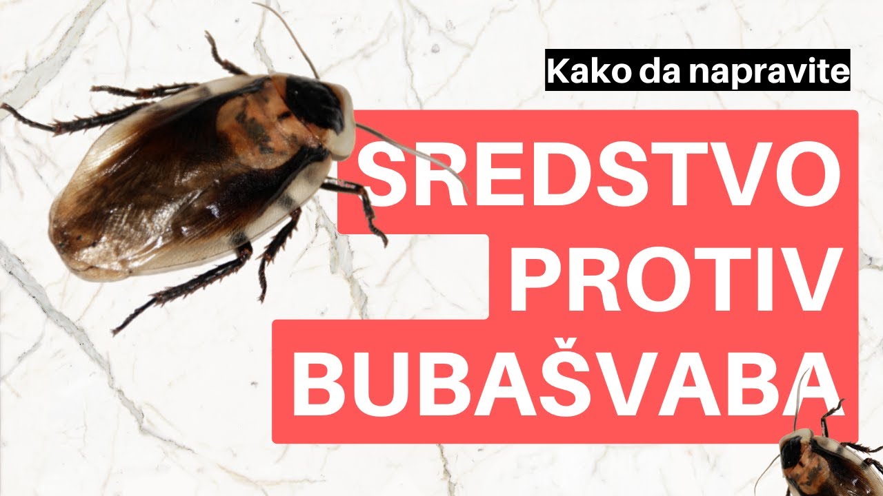 Domaće sredstvo protiv buba&scaron;vaba