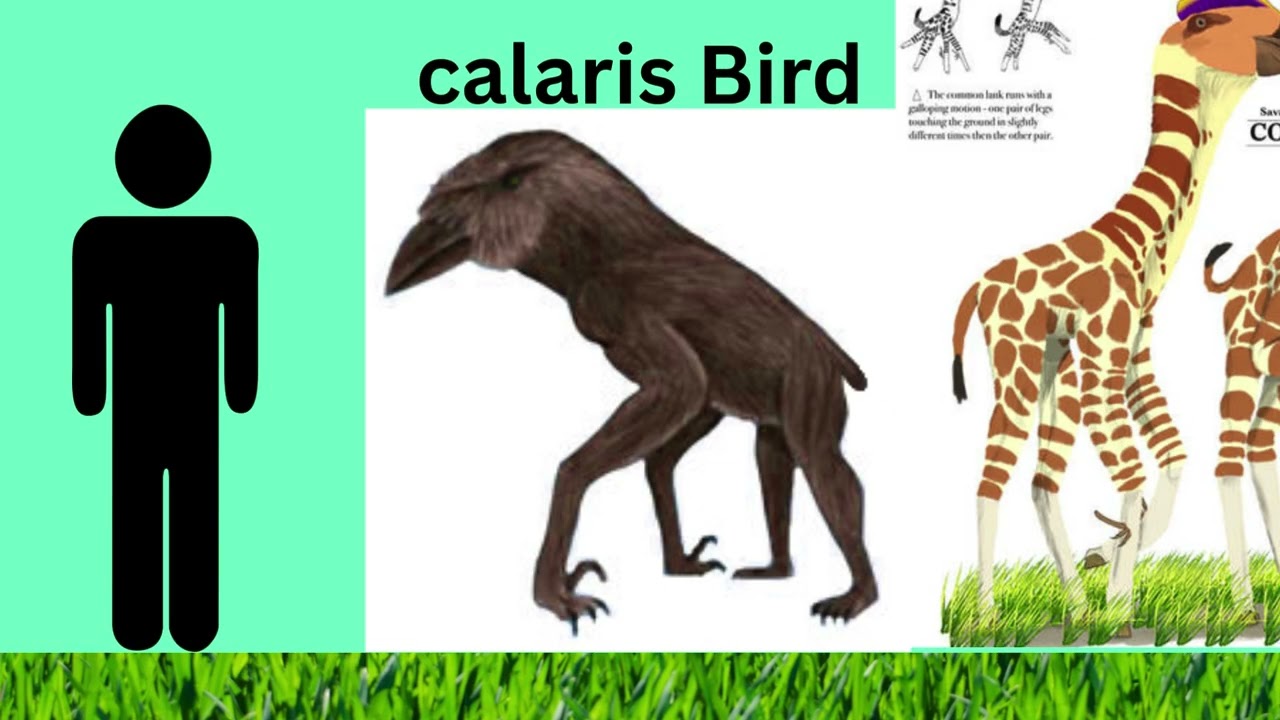 Size comparison kepler22b creatures