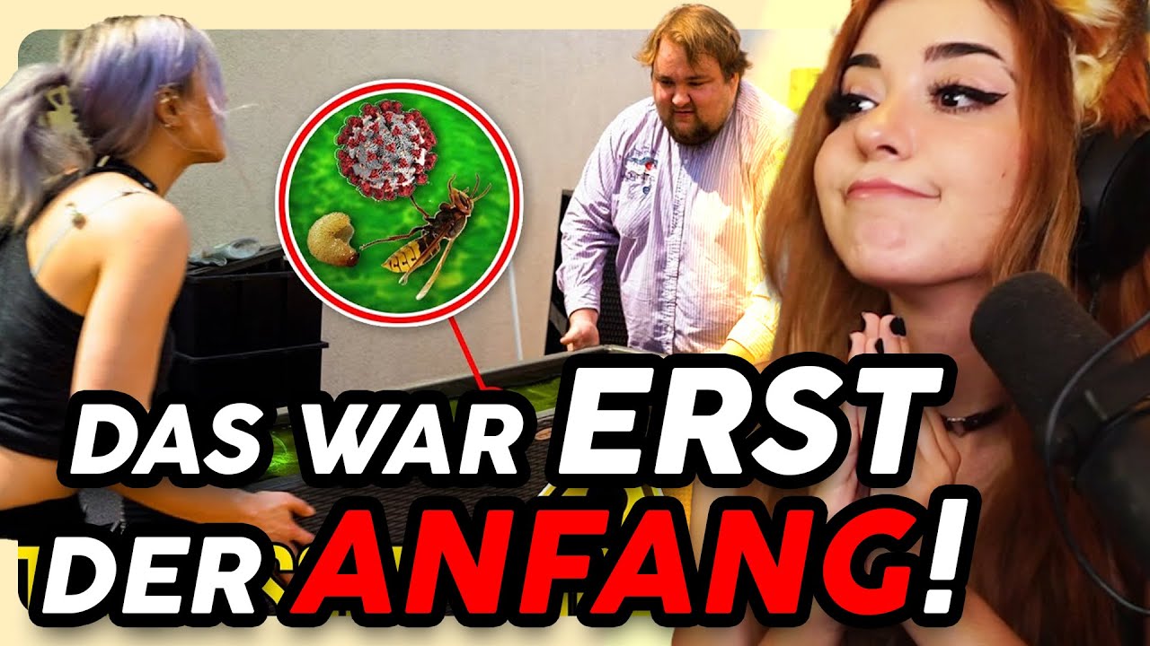 Anni reagiert auf Drecks Terrassen Umstyling: SCHIMMEL, INSEKTEN & KATZENPIPI