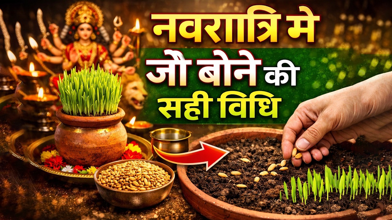 नवरात्रि मे जौ बोने की सही विधि, जौ जा महत्व, जौ के रंग का मतलब तथा विसर्जन कैसे करे?
