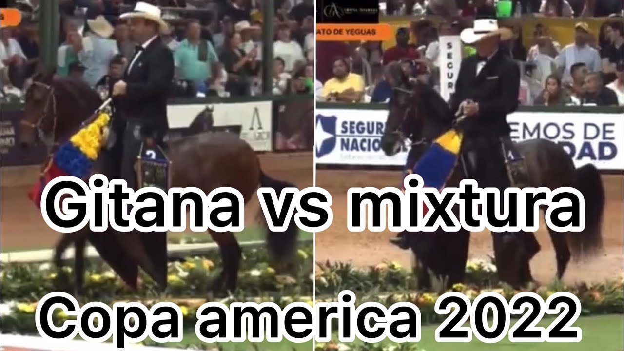 GITANA- MIXTURA Y ZARZALEÑA  en la copa america 2022 campeonato