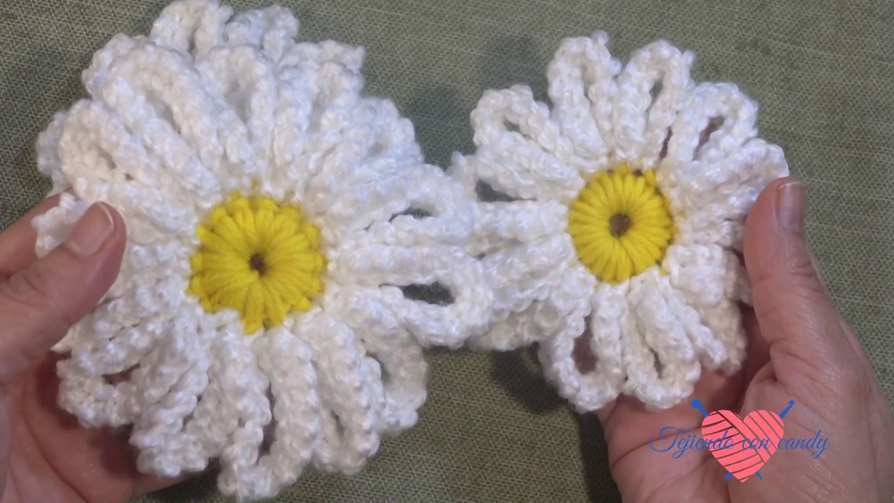 Flor margarita en 2 medidas