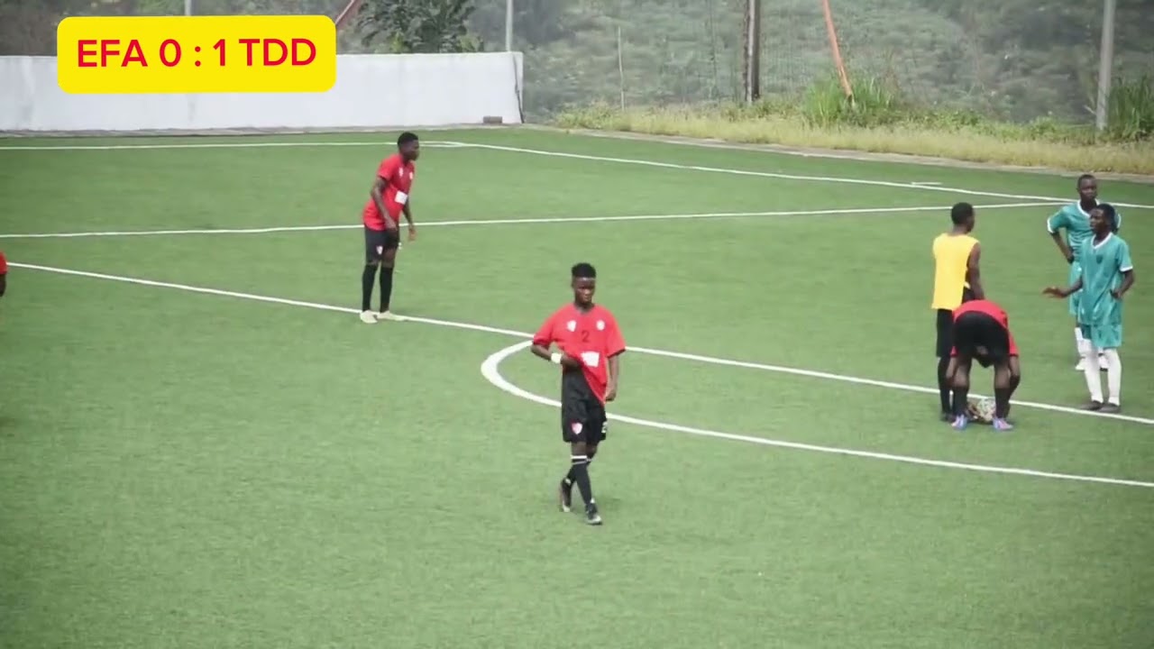 MATCH AMICAL TALENT DE DEMAIN FC VS EFA - SCORE FINAL : EFA 0 - 5 TDD