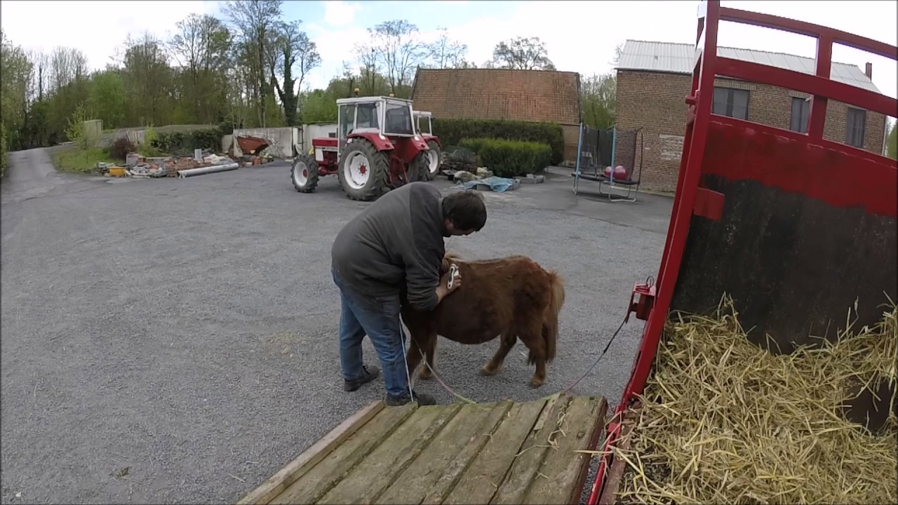 [GOPRO] CLÔTURE 2017 TRANSPORT PONEY