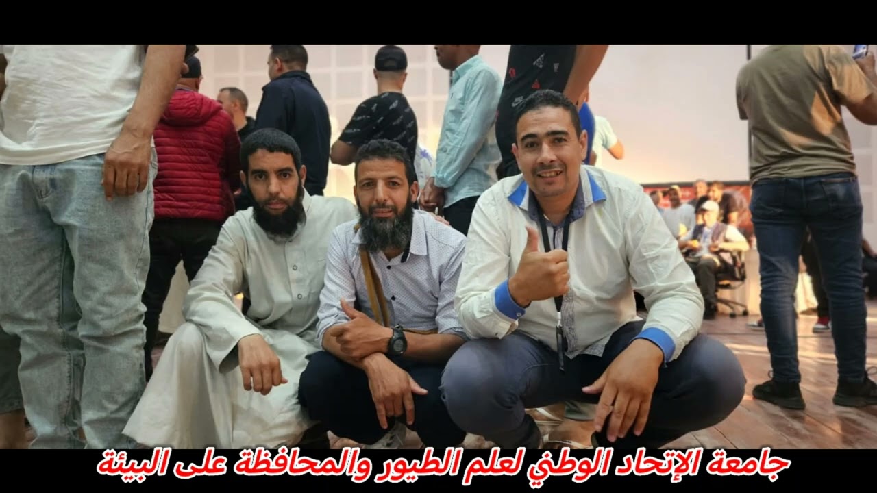 الجزء الثاني :موضوع الساعة عن طائر الحسون #الويداني #المراكشي #المغرب #الاصلي #الجزائر