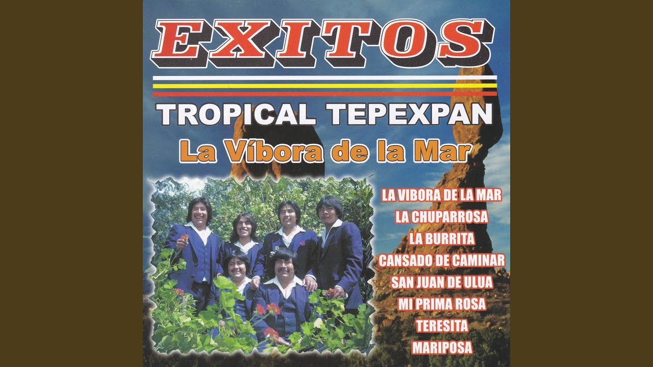 Mi Prima Rosa