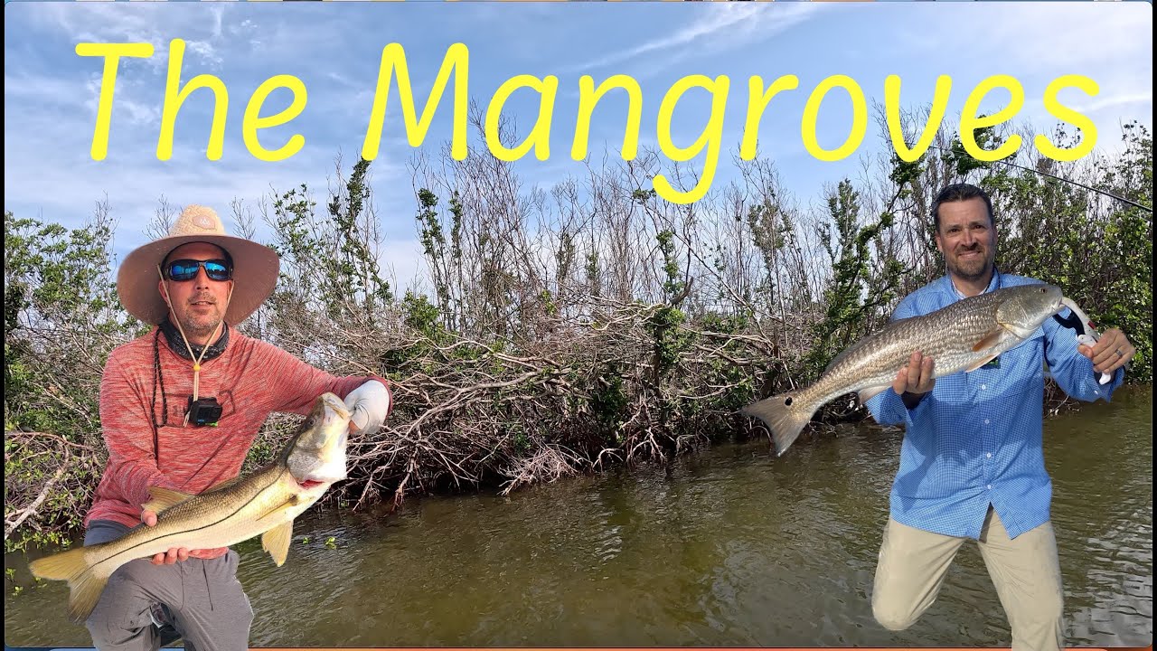 Fishing Pine Island sound in the mangroves for Red Fish, Snook, and Mangrove Snapper