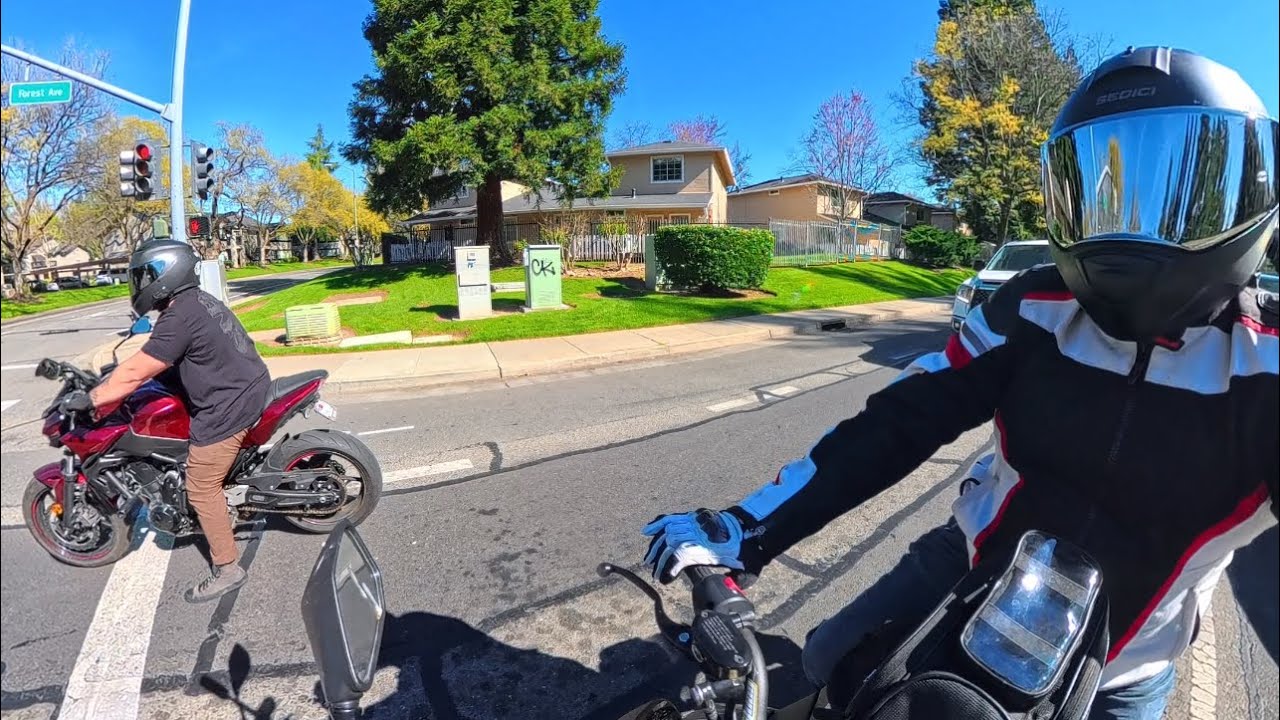 Thought they wanted to ride; then they ran away.
