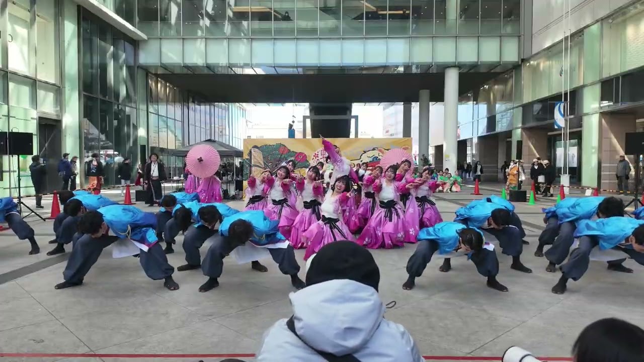 【4K】常笑「桜Live」第4回 虹彩よさこい (ソラモYEN会場)