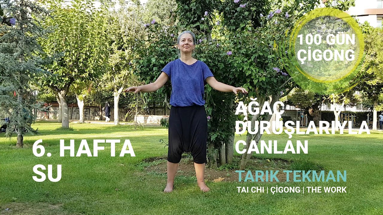 Ağa&ccedil; Duruşlarıyla Canlan, 100 G&uuml;n &Ccedil;igong, 6. Hafta Su