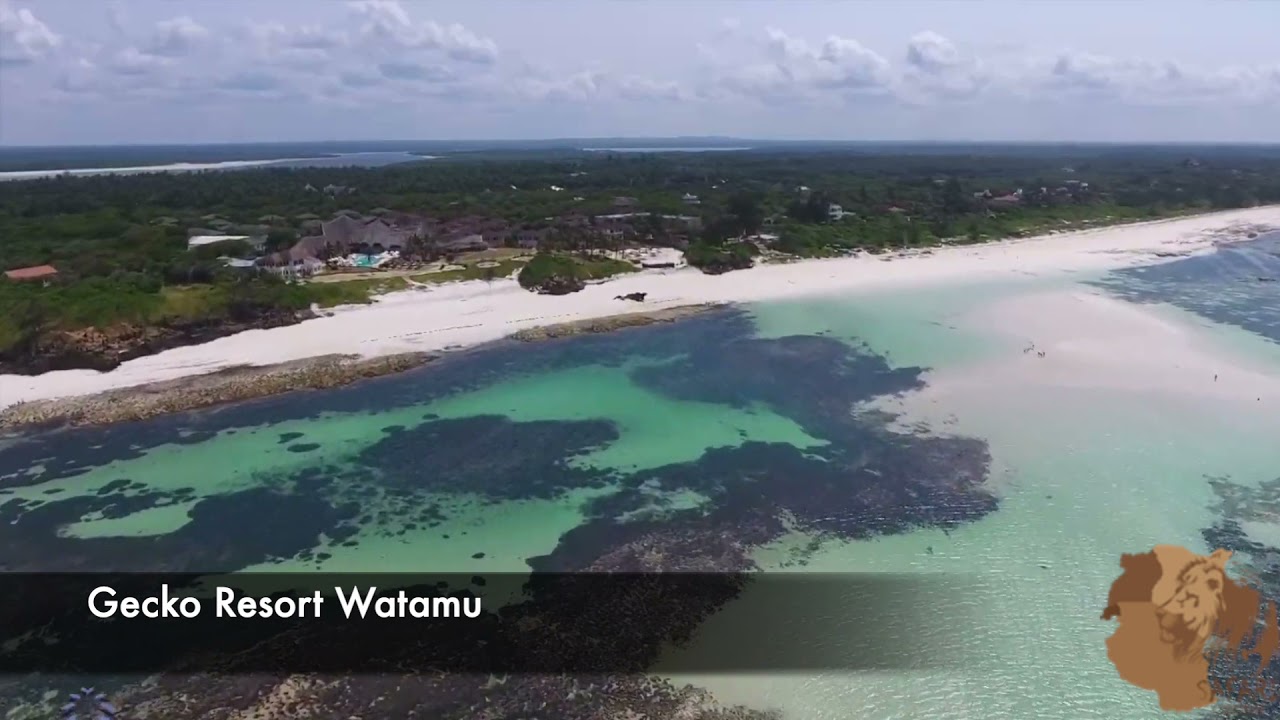 Gecko Resort In Watamu Is Located On The Beautiful Garoda Beach Inside The Watamu Marine Park