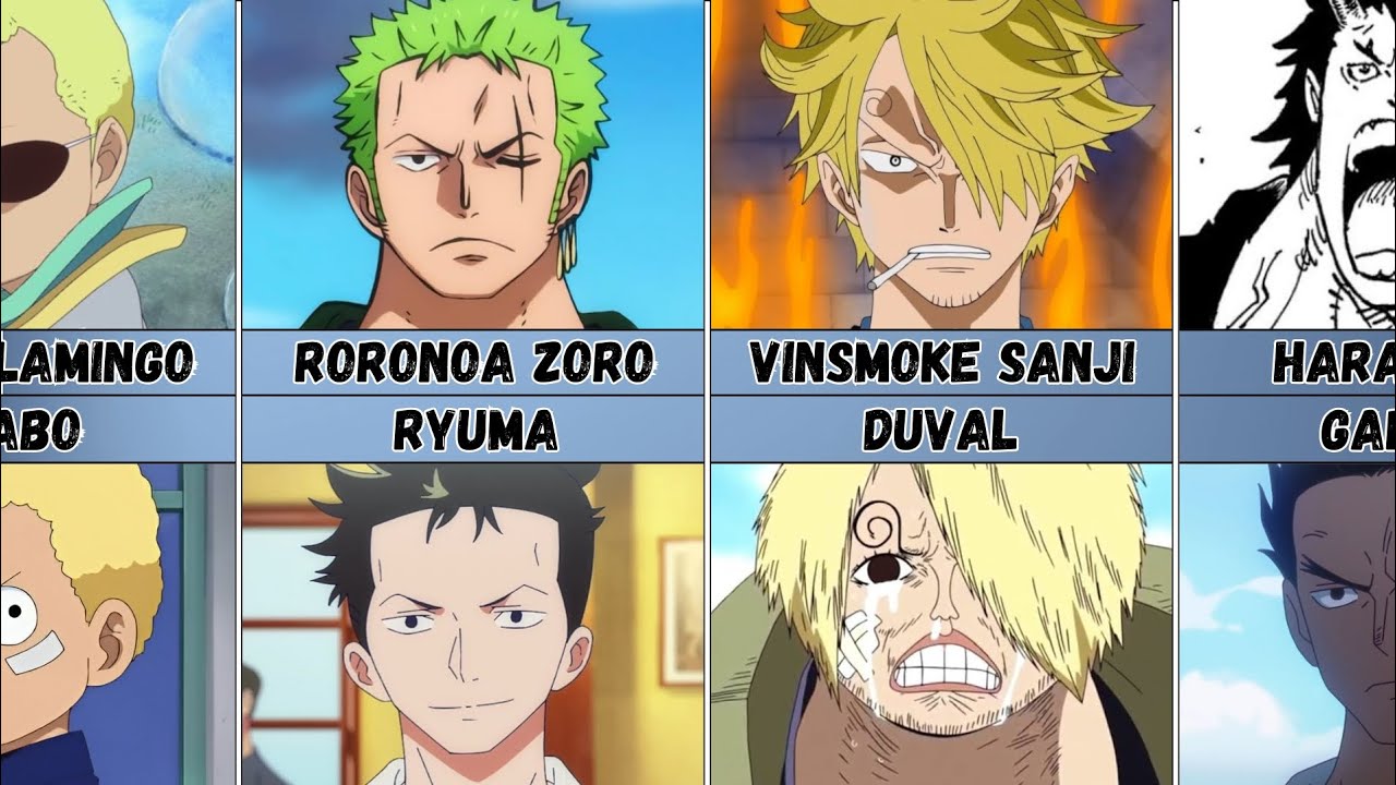 All One Piece Characters Who Look Similar