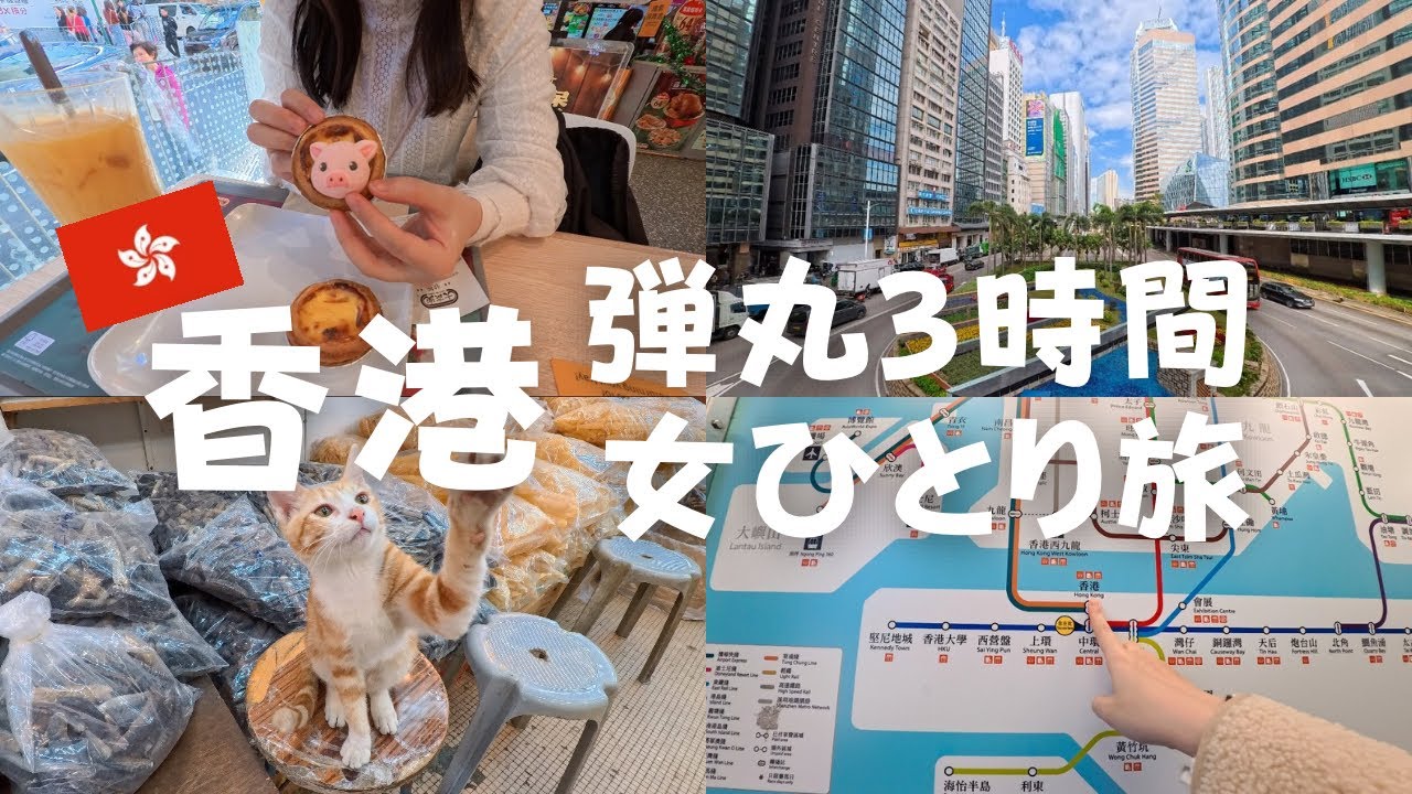 トランジット3時間で旅する香港 | お気に入りのエッグタルトを求めて食べ歩き