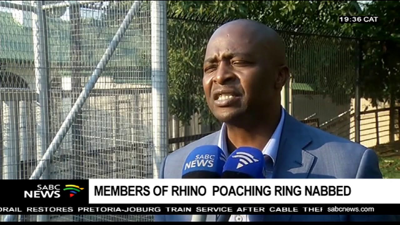 Members of rhino poaching ring nabbed