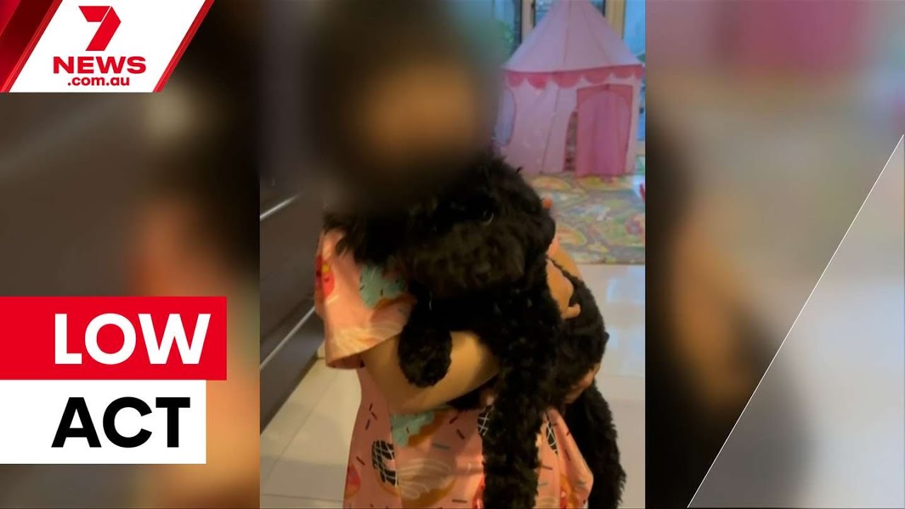 Three women wanted over puppy theft on Chapel Street | 7NEWS