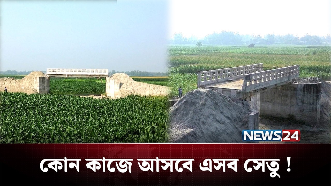 নেই রাস্তা, কোটি টাকার সেতু পড়ে আছে ক্ষেতেই! | Bridge | News24