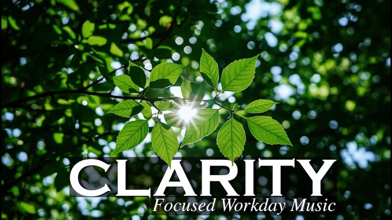 Background Music for Focus & Workday Concentration — Professional Tasks