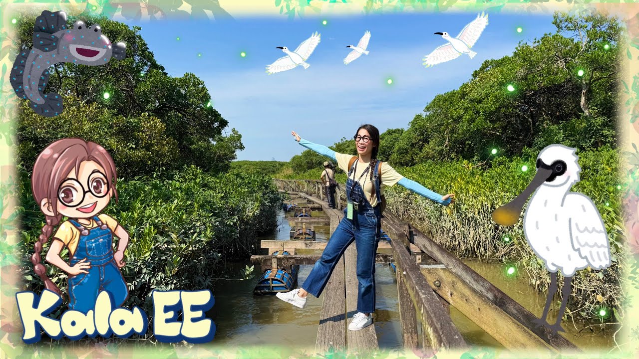 雀鳥|米埔|香港美景|Visiting Mai Po Wetland with Kala EE|濕地|紅樹林|香港好去處|米埔自然保護區|廣東話教學|兒童中文學習|環境保育|大自然親子學習|WWF