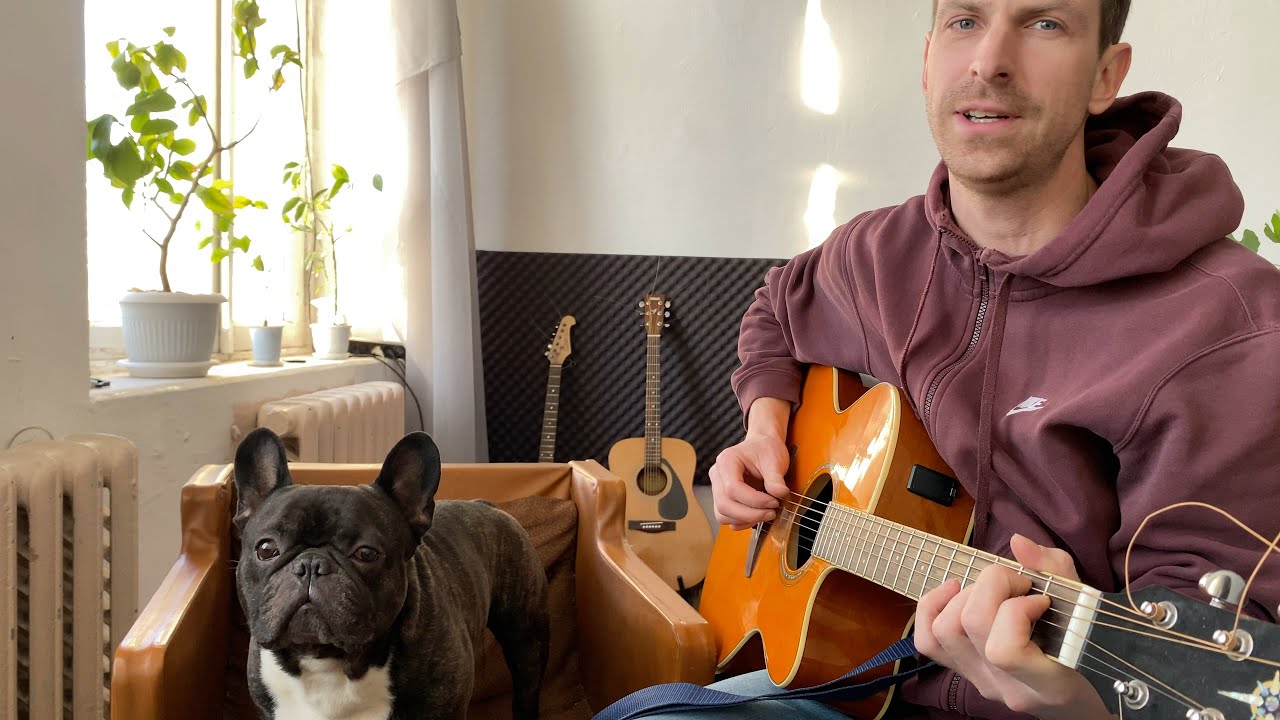 French bulldog listens to a Russian song