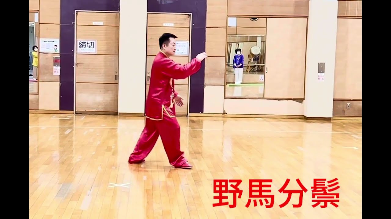 孫建明#中國武術 #太極拳 #飬生太極#健康太極 #初心者向け