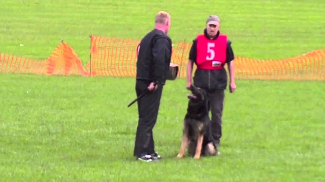 Team GB WUSV IPO World Championship Qualifier Vongalanberg Kai Protection
