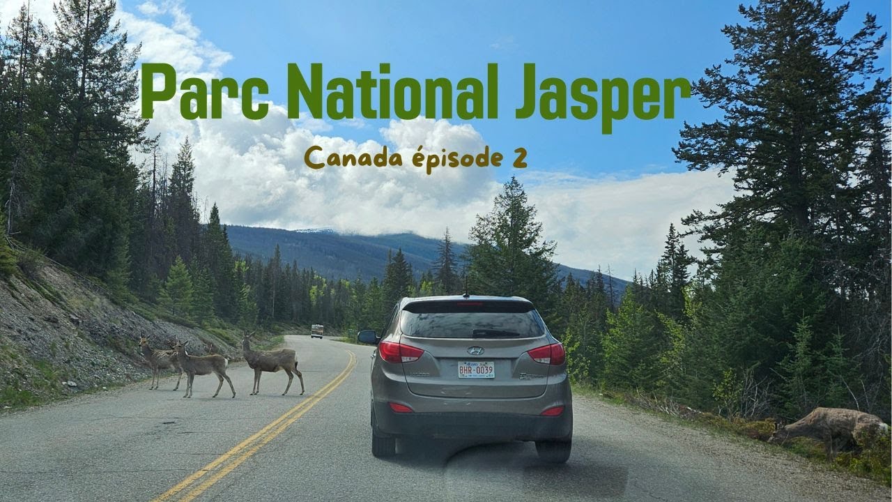 [ Vlog Canada ] Parc National Jasper