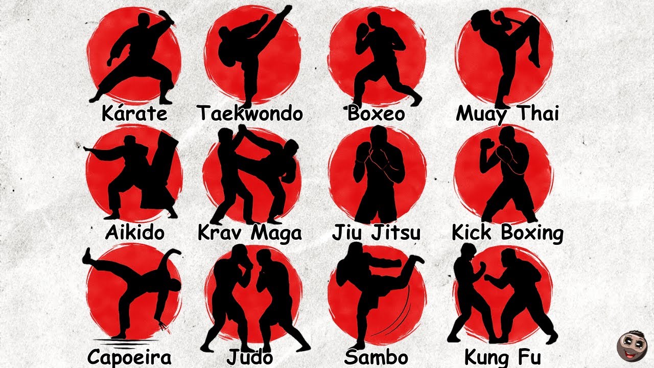 TODAS las ARTES MARCIALES explicadas en 11 minutos