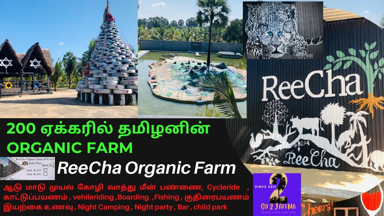 வடக்கில் இப்படி ஒரு இடமா 😲😳😲  குடும்பத்துடன்  ENJOY பண்ண  # ReeCha Organic Farm Don't miss
