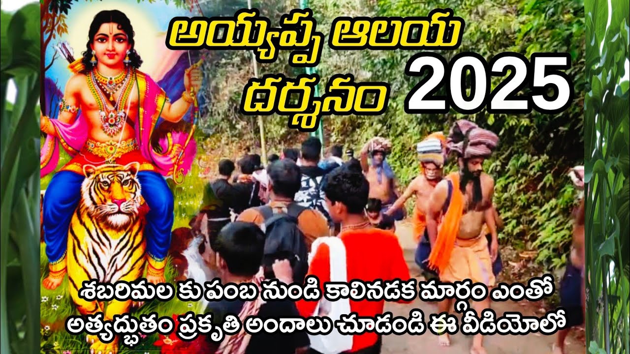 Sabarimala Ayyappa Darsanam 2025 అయ్యప్ప #ayyappa #sabarimala #shorts #shortvideo #short