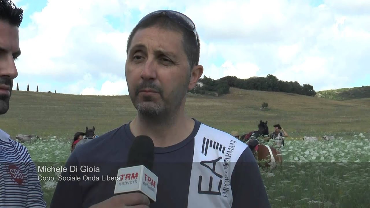 MAT - Mercato Agricolo della Terra: oggi il passaggio di mandrie podoliche in transumanza