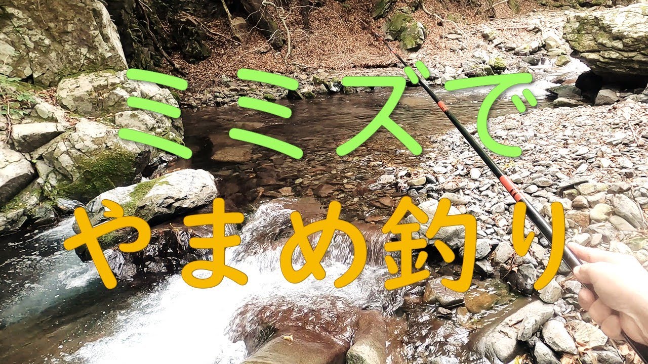 秋の小渓流　ミミズでやまめ釣り　【渓流餌釣り】2022