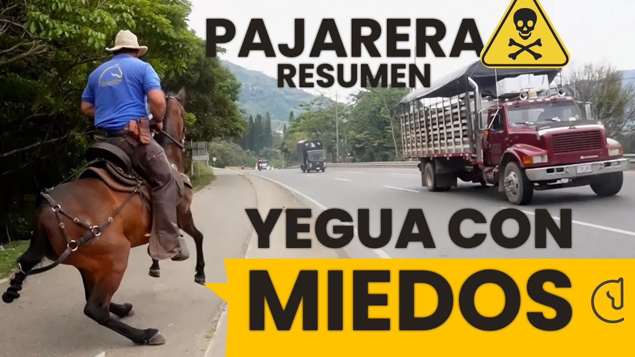 🐴 NO PENSÉ QUE PUEDIERA PASAR ❌☠️ YEGUA PAJARERA - QUITANDO MIEDOS - RESUMEN