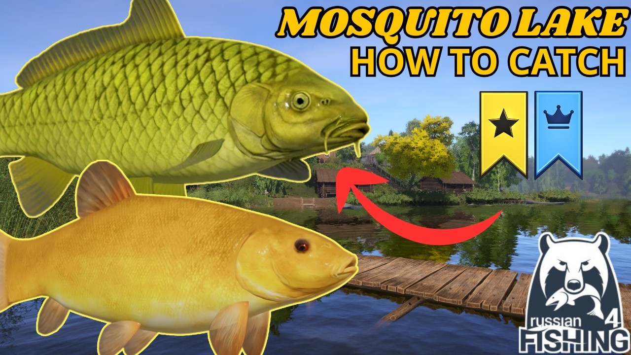 How to Catch Midori Goi in Mosquito Lake | Russian Fishing 4