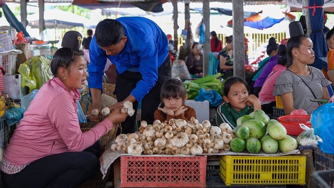 The Process of Harvesting Termite Mushrooms and Upland Melon Gardens to Bring to the Market for Sale