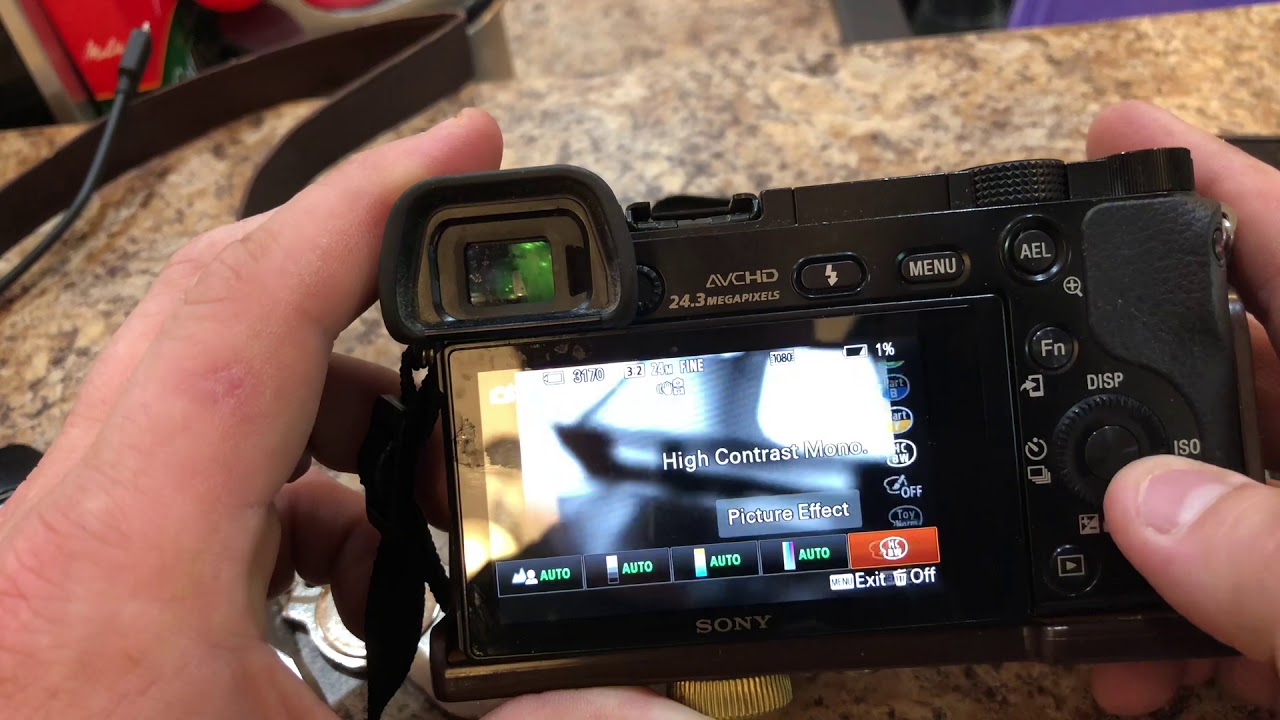 Change color setting Sony Alpha a6000