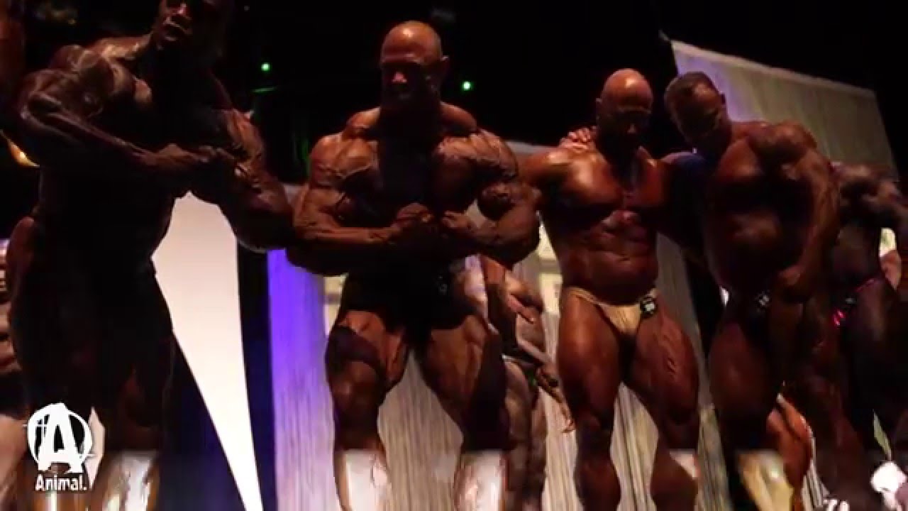 ON THE STAGE with Frank McGrath Part 5 Conclusion: The Show