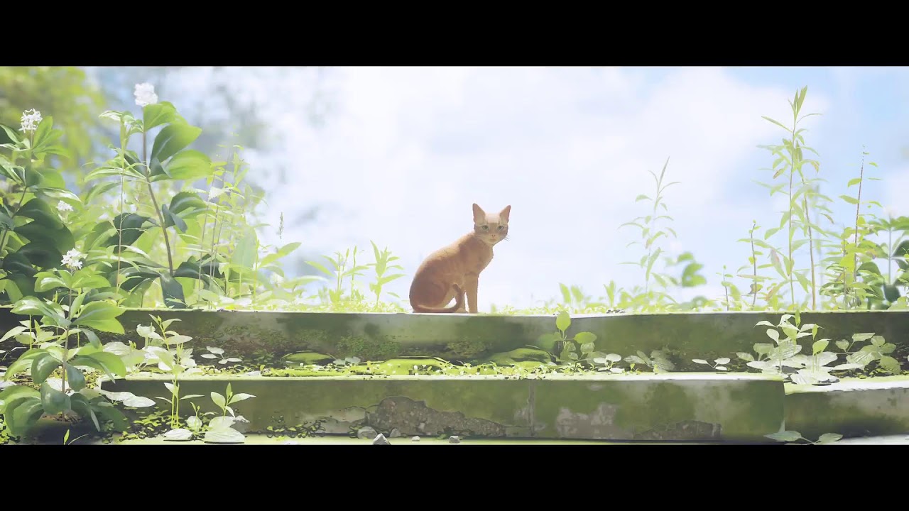 Stray {Part 3}