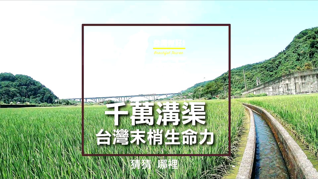 陽光綠稻的治癒時刻  - 美景系列