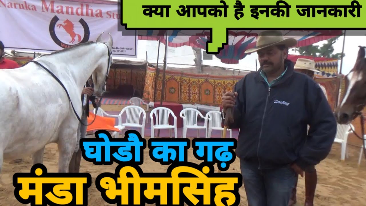 मारवाड़ी घोडौ का गढ़ मंडा भीमसिंह आप भी जानिए इनके बारे में!! pushkar mela.