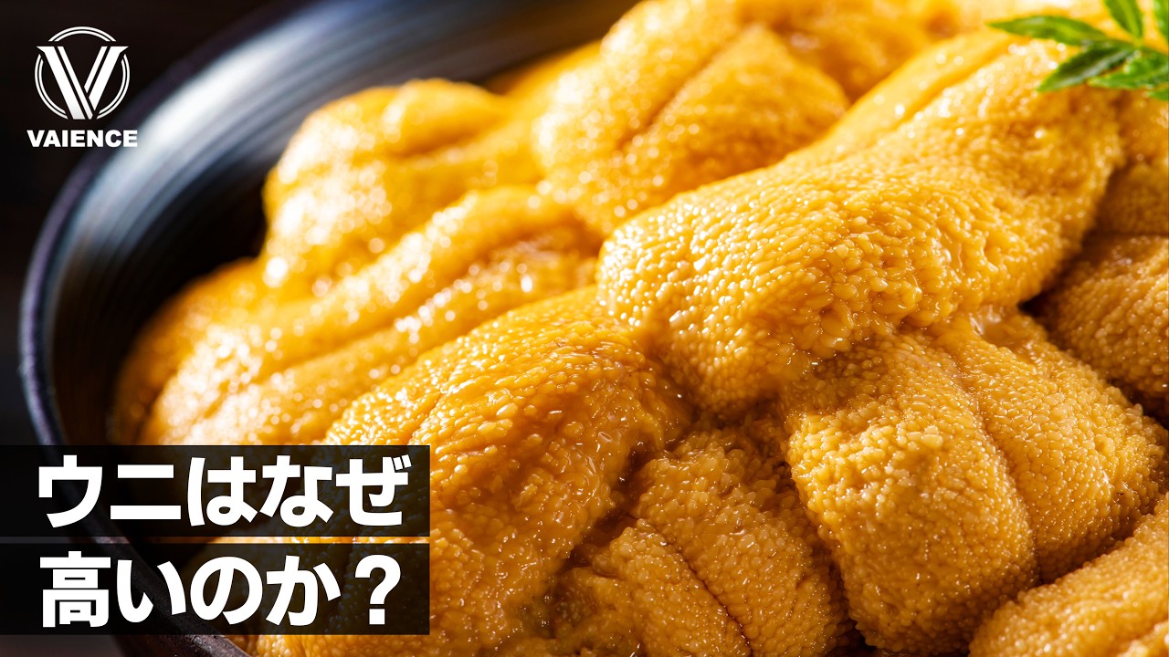 ウニはなぜ高いのか？