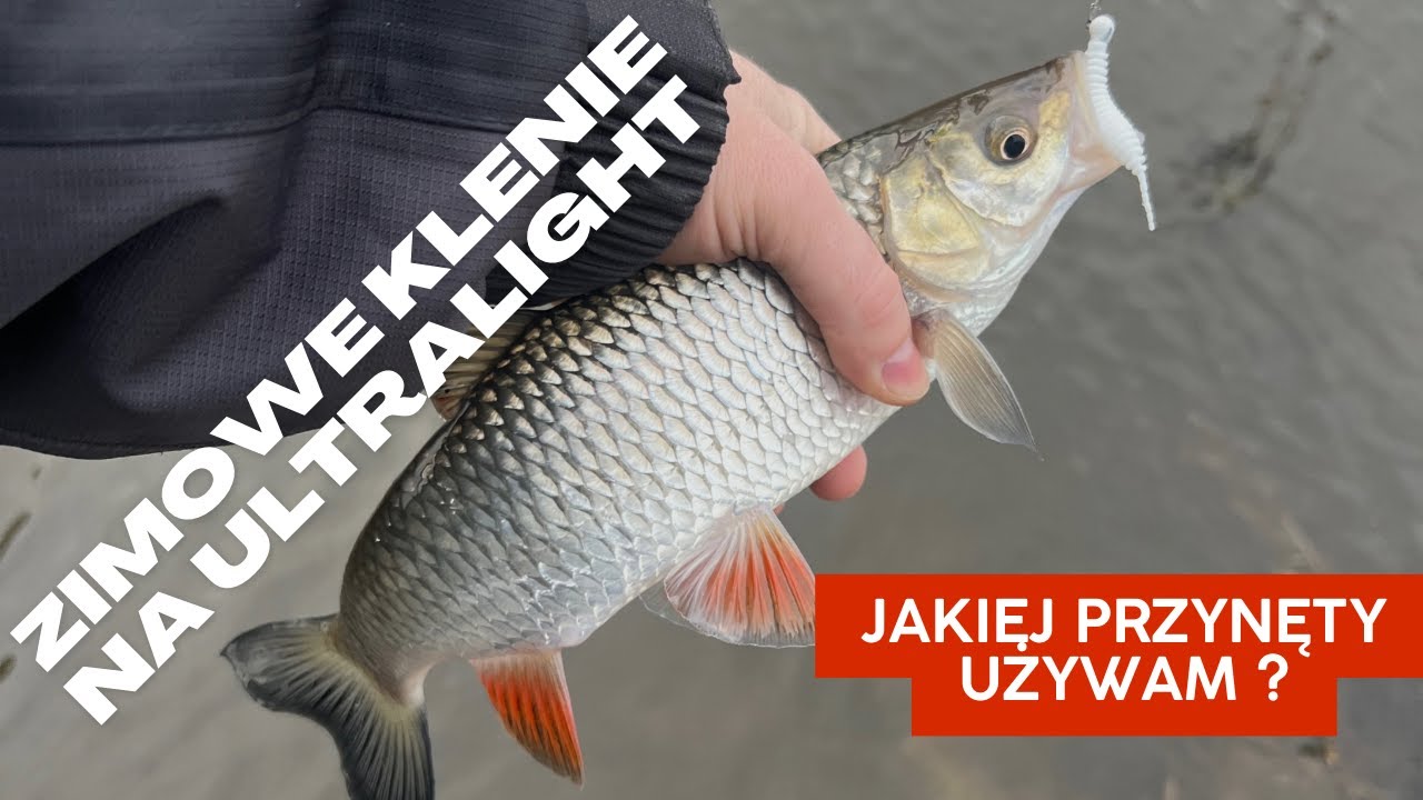Zimowe Klenie na Ultralight | Jaką przynętę użyć ? #kleń