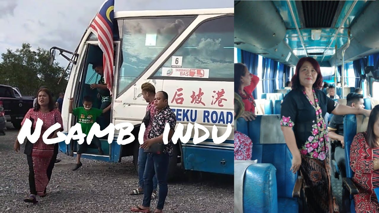 Ngambi Indu Ke Melangan di sibu😍🤩