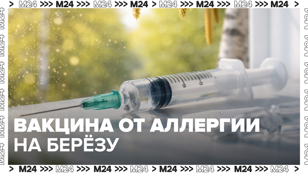 Вакцина от аллергии на берёзу: финальный этап испытаний в России