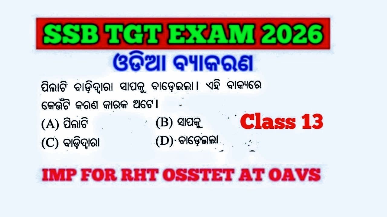 Target SSB TGT Exam 2026 !! Odia Grammar MCQs !! Imp for RHT AT OSSTET Exam !! cine tv Odisha !!